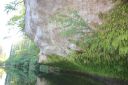 Filename=D_hirsuta_ICharissou2.jpg
Filesize=2163KiB
Dimensions=1919x1279
Date added=Sep 07, 2015 D_hirsuta_ICharissou2.jpg