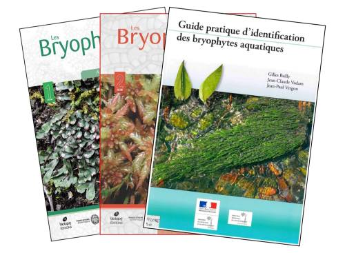 Compil_flore_deter_bryo